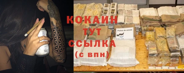 spice Алексин